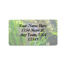 Pesquisar por submarino etiquetas endereco retorno Vida marinha