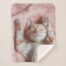 Pesquisar por muito pobre mantas Gatinho