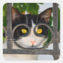 Pesquisar por olhos adesivos Filha