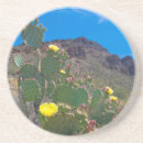 Pesquisar por tucson porta copos Cacto