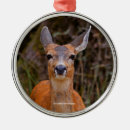 Pesquisar por veado ornamentos Qualquer pessoa