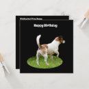 Pesquisar por cão guarda cartoes Animal