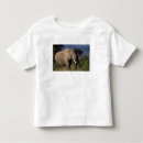 Pesquisar por alison crianças camisetas Montanha