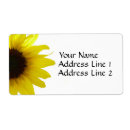 Pesquisar por de transporte etiquetas Girassol