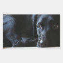 Pesquisar por labrador preto adesivos Bonito