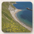 Pesquisar por dorset porta copos Costa jurássica