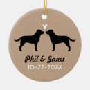 Pesquisar por labrador retriever ornamentos Animais de estimação