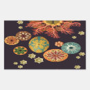 Pesquisar por biologia marinha adesivos Peixe