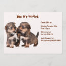 Pesquisar por do yorkshire terrier convites Cães