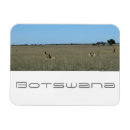 Pesquisar por kalahari imas Natureza
