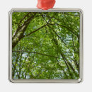 Pesquisar por ecológico ornamentos Qualquer pessoa