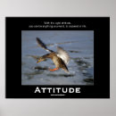 Pesquisar por attitude pôsteres pósteres Humor