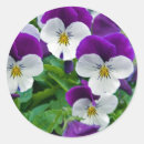Pesquisar por horticultura adesivos Floral