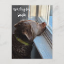 Pesquisar por cão papai noel cartoes postais Cachorrinho