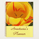 Pesquisar por primavera agendas Qualquer pessoa