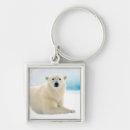 Pesquisar por adulto chaveiros Urso