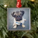 Pesquisar por natal pug ornamentos Animal