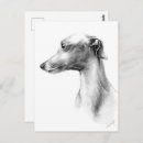 Pesquisar por whippet cartoes postais Cute