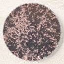 Pesquisar por fermento porta copos Para todos