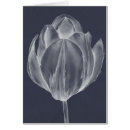 Pesquisar por tulipas cartoes postais Gráfico