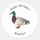 Pesquisar por ana adesivos Pato