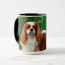 Pesquisar por cavalier king charles spaniel canecas Rubi