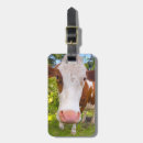 Pesquisar por fazendeiro bagagem tags Animal