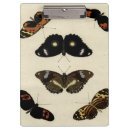 Pesquisar por pranchetas Borboletas