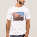 Pesquisar por geyser camisetas Rocha