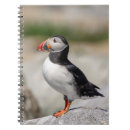 Pesquisar por puffin cadernos de notas Sopro atlântico