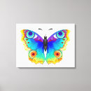 Pesquisar por borboleta arco íris impressão de canvas Colorido