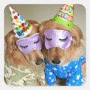 Pesquisar por pijamas adesivos Qualquer pessoa