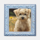 Pesquisar por android imas Telefone