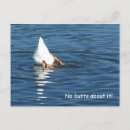 Pesquisar por duck cartoes postais Branco