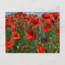 Pesquisar por fundo vermelho cartoes postais Selvagem