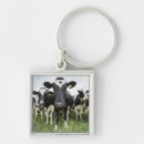 Pesquisar por vacas chaveiros Animal
