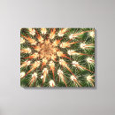 Pesquisar por espinhos impressão de canvas Cacto