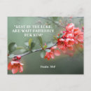 Pesquisar por ornamental cartoes postais Qualquer pessoa