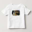Pesquisar por rio grande do norte camisetas Paisagem