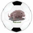 Pesquisar por dragão bola futebol Para todos