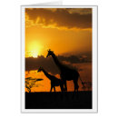 Pesquisar por por do sol africano cartoes Girafa