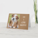 Pesquisar por shar pei vertical cartoes Engraçado