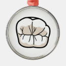 Pesquisar por odontologia ornamentos Higienista