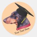 Pesquisar por doberman adesivos Fofofo