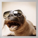 Pesquisar por selos pôsteres pósteres Animal