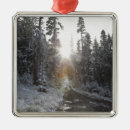 Pesquisar por passeio ornamentos Inverno