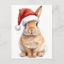 Pesquisar por coelho postais natal cartoes Aquarela