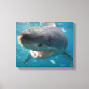 Pesquisar por tubarão impressão de canvas Peixe