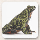 Pesquisar por lateral porta copos Animais
