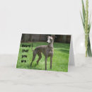Pesquisar por galgos cartoes Qualquer pessoa